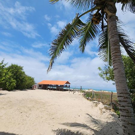 Hotel La Jungla Puerto Villamil Εξωτερικό φωτογραφία