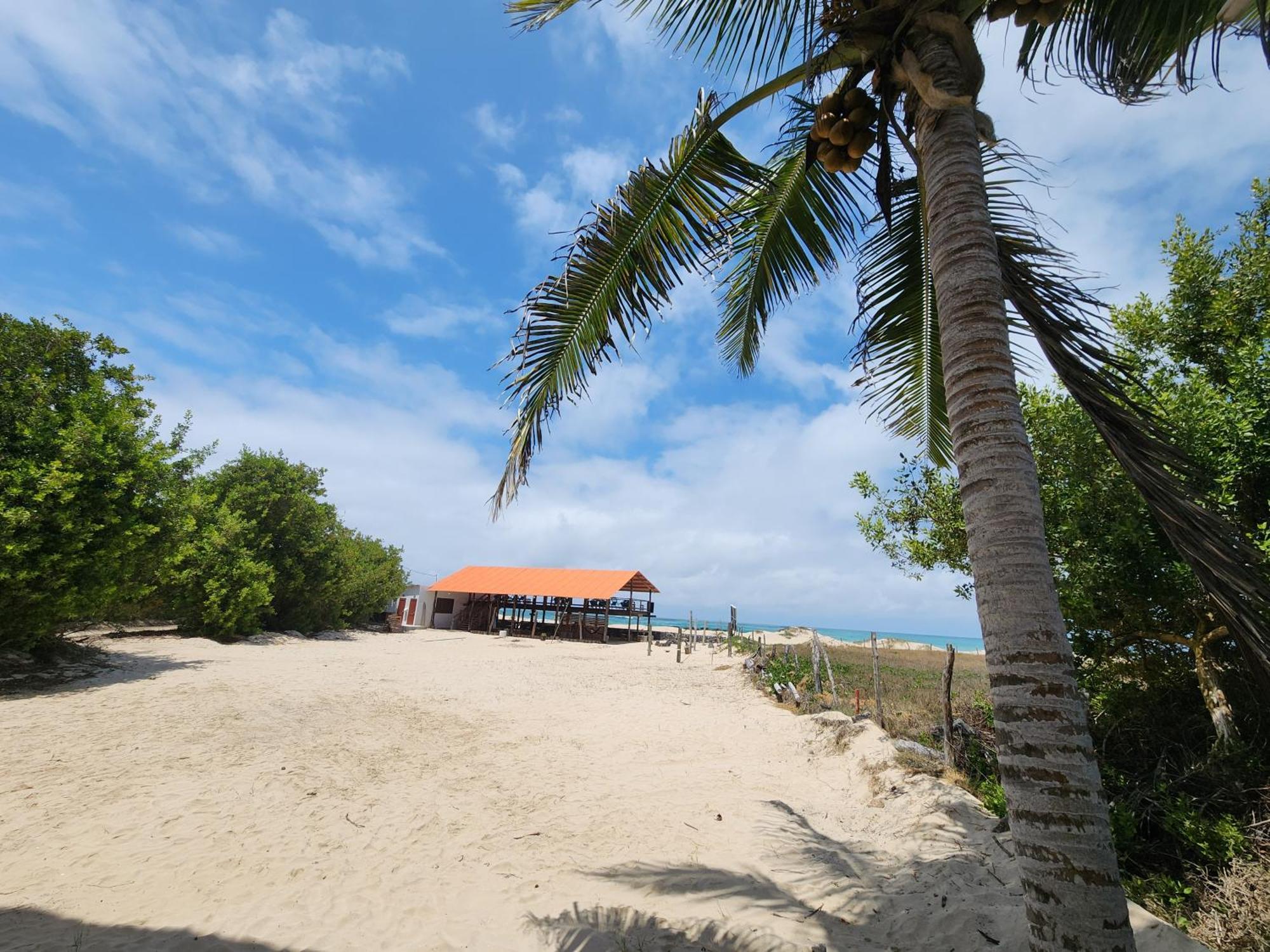 Hotel La Jungla Puerto Villamil Εξωτερικό φωτογραφία
